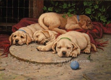 ami0007D13 動物 犬 Oil Paintings